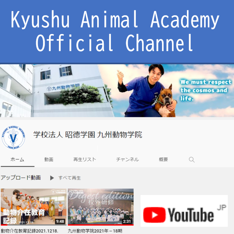 Kyushu Animal Academy OC