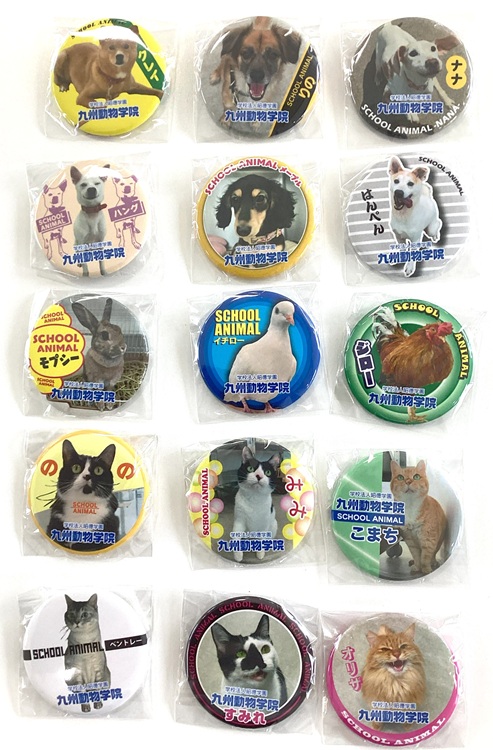 7月2日（木）2026年度オリジナル缶バッジ出来ました！ | 九州動物学院